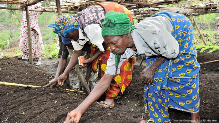 Women planting in East Congo