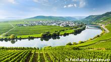 #47865944 - famous Moselle Sinuosity with vineyards © Jörg Hackemann