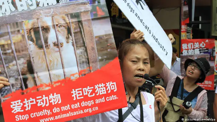 Handel und Verzehr von Hundefleisch in China