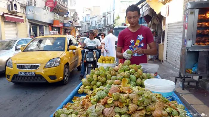 Ein Tunesier verkauft Kaktusfeigen in Tunis
(Foto: Anne Allmeling/DW)