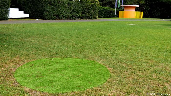 Карин Зандер, Рай 231, 2013 год