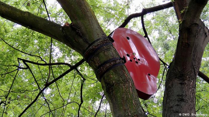 Богомир Эккер, Ухо, 1986 год