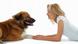 Frau mit Hund Frau mit Hund