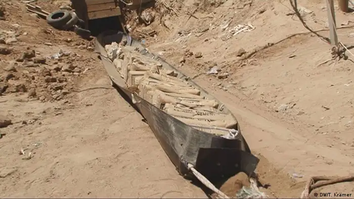 Transportbahre mit Zementsäcken (Foto: DW/Tania Krämer, DWTV)