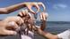 A close-up of hands holding up jellyfish in the air (Photo: EPA/Angel Medina) A close-up of hands holding up jellyfish in the air (Photo: EPA/Angel Medina)