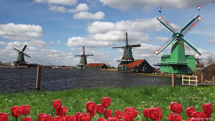 Windmühle traditionelle Windmühlen Holland Niederlande Gracht Kanal Tulpen