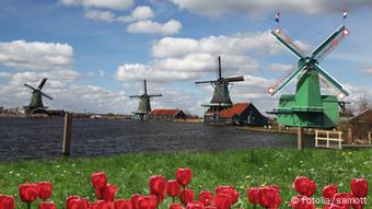 Windmühle traditionelle Windmühlen Holland Niederlande Gracht Kanal Tulpen