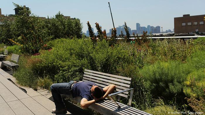 High Line Park in Manhattan