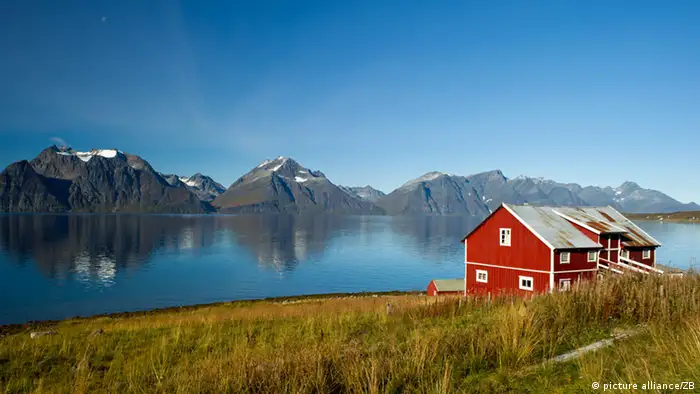 La maison en bois, vision habituelle des fjords norvégiens, a-t-elle une place en Afrique ?