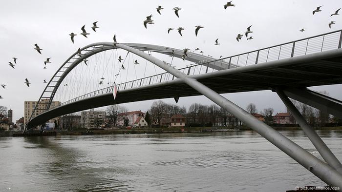 Birds fly next to the Three Countries Bridge