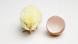 Baby chicken next to an eggshell Baby chicken next to an eggshell
