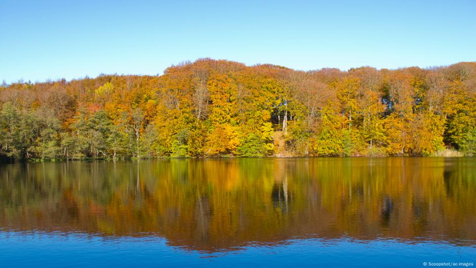 Bosques alemanes: diversidad y belleza | Todos los contenidos | DW | 13 ...