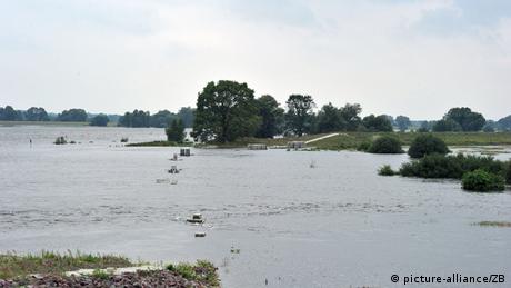 Die Elbe bei Lenzen. Nach der größten Deichrückverlegung Deutschlands entwickelt sich auf 420 Hektar neuem Überflutungsraum wieder die Dynamik einer Flussaue.