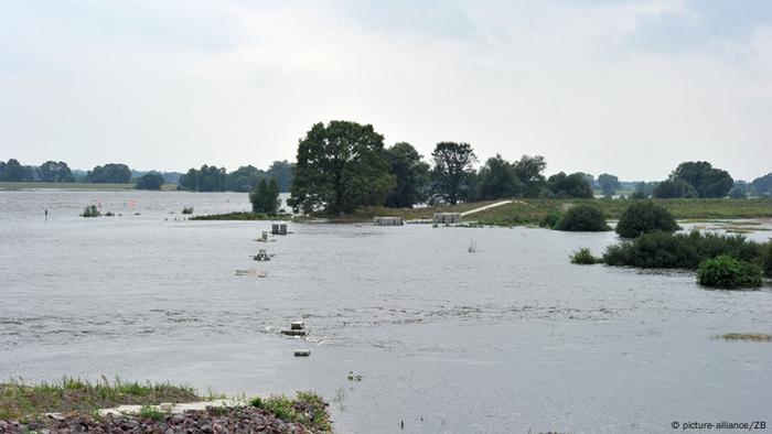 Die Elbe bei Lenzen. Nach der größten Deichrückverlegung Deutschlands entwickelt sich auf 420 Hektar neuem Überflutungsraum wieder die Dynamik einer Flussaue.