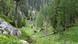 Reiteralpe im Nationalpark Berchtesgaden Reiteralpe im Nationalpark Berchtesgaden