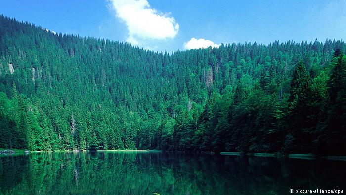 Der Rachelsee im Nationalpark Bayerischer Wald
