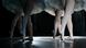 Symbolbild Ballett Ballerina Symbolbild Ballett Ballerina