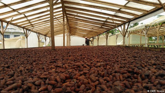 Galerie Anbau und Verarbeitung von Kakao in São Tomé