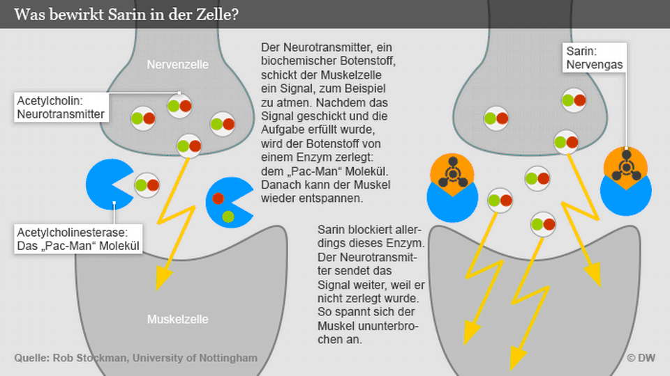 Wann ist Gas verflogen?