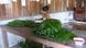 Bildergalerie Waldprodukte Guatemala Bildergalerie Waldprodukte Guatemala
