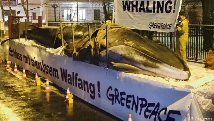 Greenpeace Protest toter Wal