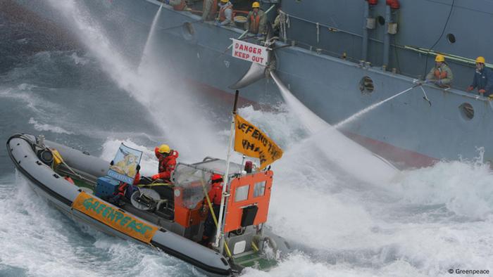 Boat with Greenpeace activists came close to whaling ship