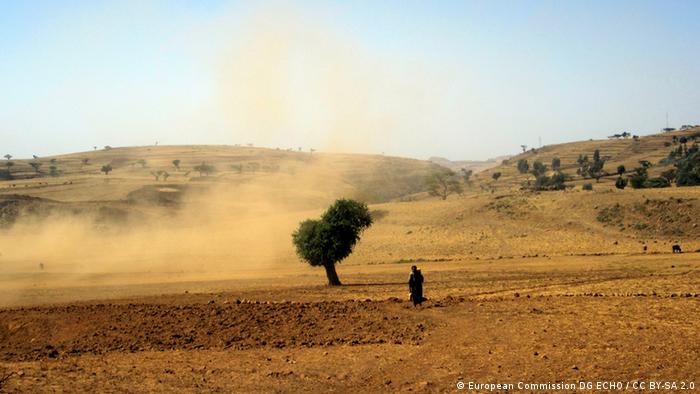 Засуха в Эфиопии