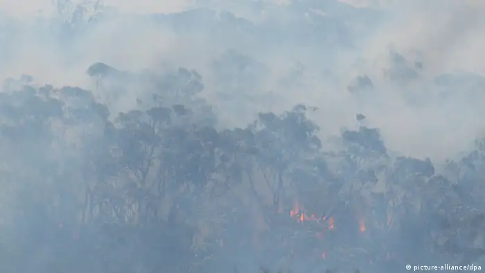 Waldbrände in Australien