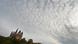 Wolken ziehen über dem Limburger Dom auf - Foto: Arne Dedert (dpa) Wolken ziehen über dem Limburger Dom auf - Foto: Arne Dedert (dpa)