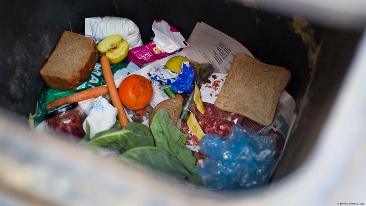 Es muy duro ver a los pequeños buscando comida entre la basura” - Primera  Edición