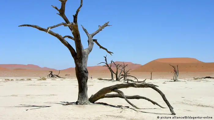 Symbolbild Wüste Dürre