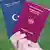 Паспорта ФРГ и Турции