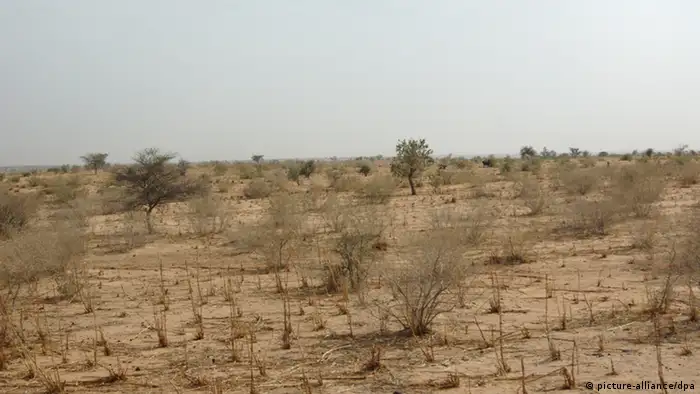 Le Niger souffre de la sécheresse dans le Sahel, comme en témoigne ce champ aride