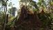 Bildergalerie Amazon Regenwald Rodung (Reuters) Bildergalerie Amazon Regenwald Rodung (Reuters)