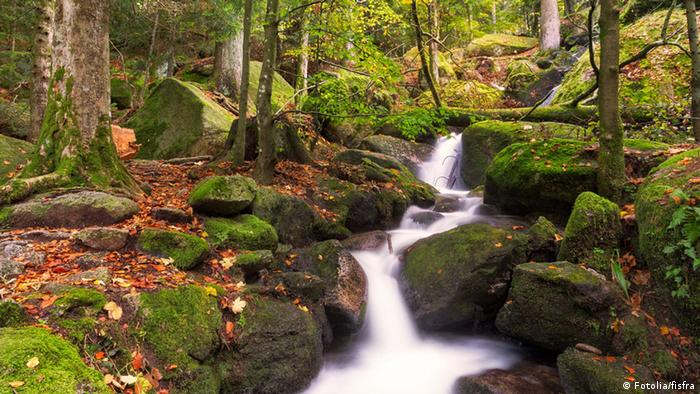 Шварцвальд