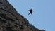 33-year-old South African basejumper Leander Lacey flies in a specially designed wingsuit after leaping off the cliffs of Chapmans peak, part of the Table Mountain national park in Cape Town, South Africa 17 October 2010. Conditions need to be perfect to succed with the jump which has a height of 375 meters. It takes Leander only 10 seconds from top to bottom. Initially dropping vertically down he is able to fly out over the cliffs after generating some forward momentum using the wingsuit before deploying his parachute and landing on the ocean below. Photo: EPA 33-year-old South African basejumper Leander Lacey flies in a specially designed wingsuit after leaping off the cliffs of Chapmans peak, part of the Table Mountain national park in Cape Town, South Africa 17 October 2010. Conditions need to be perfect to succed with the jump which has a height of 375 meters. It takes Leander only 10 seconds from top to bottom. Initially dropping vertically down he is able to fly out over the cliffs after generating some forward momentum using the wingsuit before deploying his parachute and landing on the ocean below. Photo: EPA