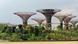Garden by the Bay Singapore (Roslan Rahman/AFP/Getty Images) Garden by the Bay Singapore (Roslan Rahman/AFP/Getty Images)