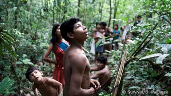 Eine Awá-Gruppe auf Nahrungssuche mit Pfeil und Bogen (Foto: Domenico Pugliese/Survival International)