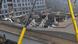 Blick auf das eingestürzte Dach des Supermarktes in Riga (Foto: ILMARS ZNOTINS/AFP/Getty Images) Blick auf das eingestürzte Dach des Supermarktes in Riga (Foto: ILMARS ZNOTINS/AFP/Getty Images)