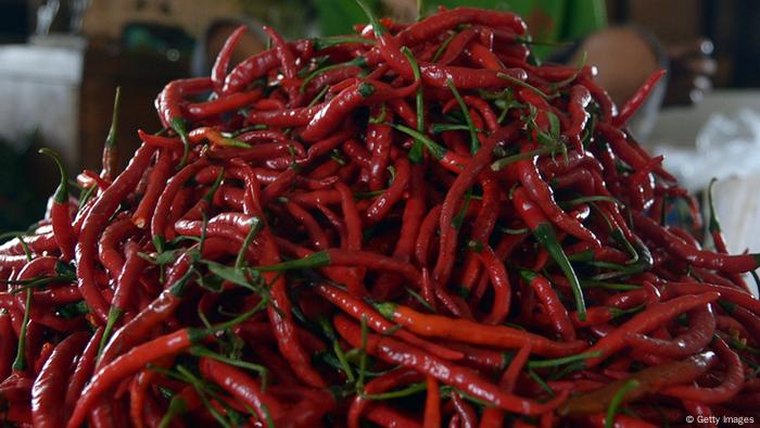 Symbolbild - Rote Chili