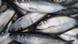 Frisch gefangene Heringe liegen in einer Kiste. (AP Photo/ Thomas Haentzschel) Frisch gefangene Heringe liegen in einer Kiste. (AP Photo/ Thomas Haentzschel)