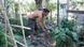 Apostolis Sianos works in the garden at Free&Real Apostolis Sianos works in the garden at Free&Real