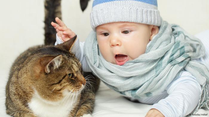 Baby mit Katze