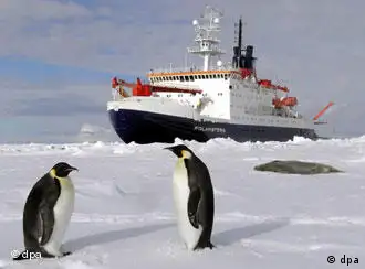 南极的企鹅：这一拨儿人又是哪国来的？