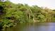 Mangrovengebiet Brasilien (Foto: Inga Nordhaus/ZMT). Mangrovengebiet Brasilien (Foto: Inga Nordhaus/ZMT).