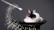 Bunny in hat, magic wand, Copyright: Kitty Bunny in hat, magic wand, Copyright: Kitty