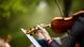 Violinist, Copyright: Alexey Klementiev Violinist, Copyright: Alexey Klementiev