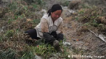 Trockenheit und Landwirtschaft in China
