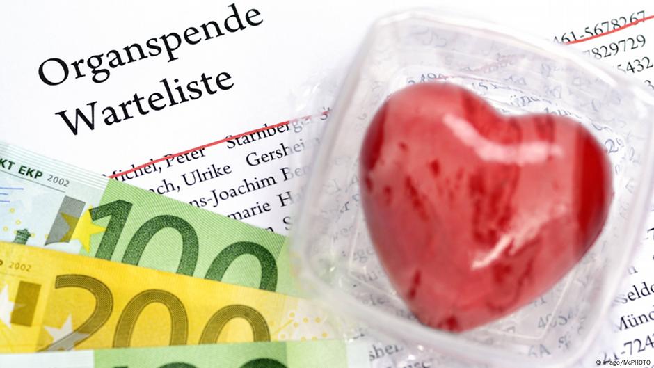 Zu wenige Spenderorgane - das könnten Alternativen sein