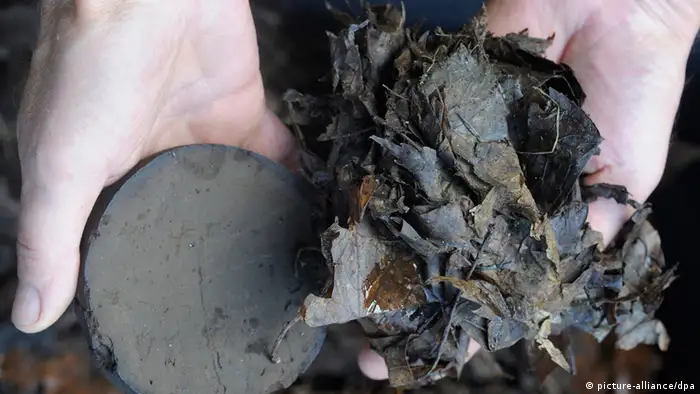 Close-up of a person's hand displaying biochar